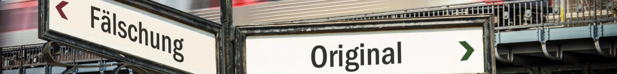 Zitieren & Plagiate vermeiden